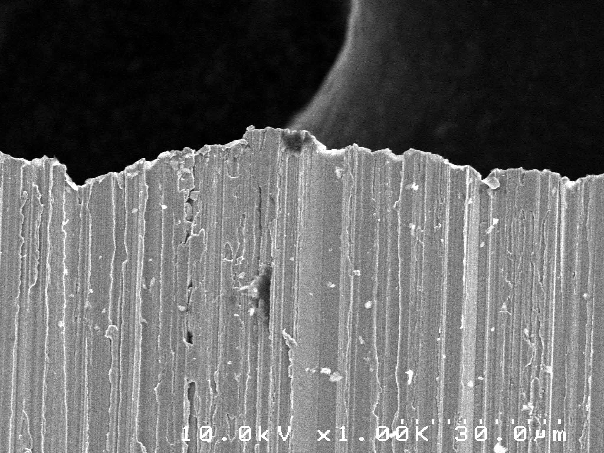 03 as received, side view, 1000x (1)