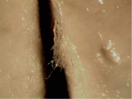 Rough Cut
